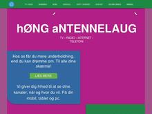 Høng Antennelaug